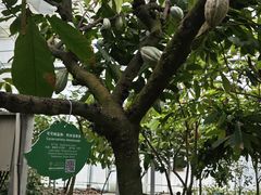 -歌斐颂巧克力小镇