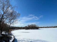 -大兴滨河森林公园