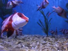 -正佳极地海洋世界