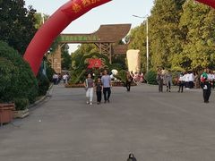 -溱湖国家湿地公园