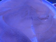 -唯爱KTV聚会餐厅(仙林东城汇店)