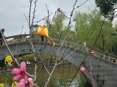 -南汇桃花村