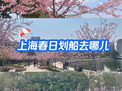 -新江湾城公园