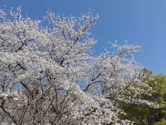 -浙江省博物馆(孤山馆区)