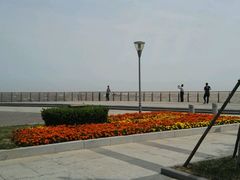 -东疆建设开发纪念公园