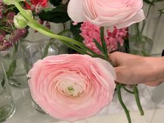 -Flannel Flowers(IFC)