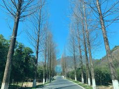 -东天目山风景区