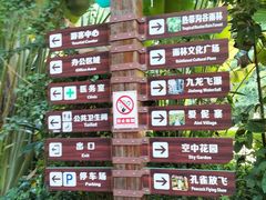 -西双版纳原始森林公园