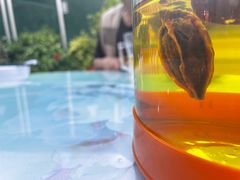 -马白开来特色羊排揪片子  (总店)