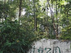-成都市活水公园