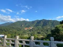 -深圳仙湖植物园
