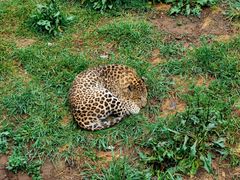 -大连森林动物园