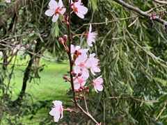 -福建鲤鱼洲酒店