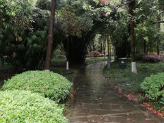 -邓小平故里