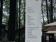 -林间山庄