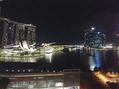 -新加坡文华东方酒店