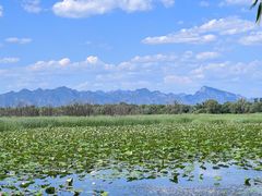 -野鸭湖国家湿地公园