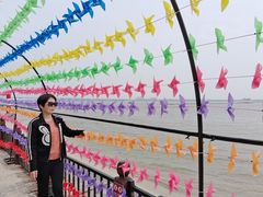 -北海金海湾红树林生态旅游区