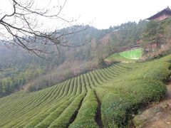 -敬亭山风景名胜区