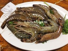 -金砂阿洲鱼册店