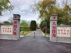 -大丰知青农场