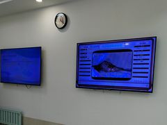 -北京观赏动物医院·24小时大型综合·猫专科·异宠专科