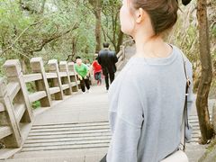 -灵岩山风景区