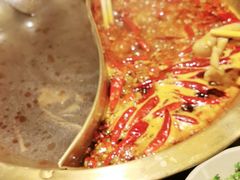 -小龙坎火锅(春熙太古里店)
