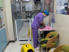 -北京观赏动物医院·24小时大型综合·猫专科·异宠专科