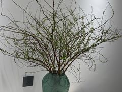 -奇乐全日制婴儿学校·早教