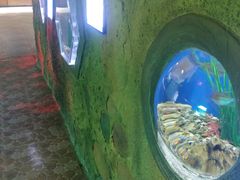 -华夏文旅海洋公园