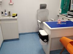 -博特宠物医院24h犬猫全科.骨科·异宠