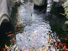 -西林禅寺