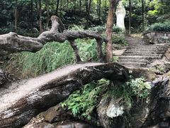 -南漈山