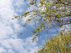 -太湖湖滨国家湿地公园-停车场