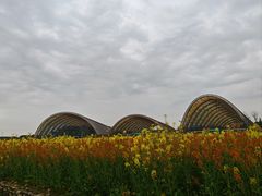 -中国天府农业博览园