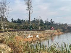 -东钱湖旅游度假区