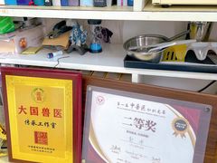 -派美特宠物医院·核磁CT·骨科肿瘤·疑难转诊(沈农禾丰店)