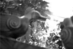 点击看大图 -维纳斯婚纱摄影(预约减现金)