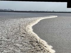 -观潮胜地公园
