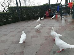-国色天乡三期陆地乐园