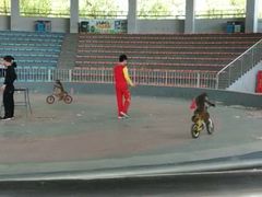 -石家庄市动物园