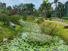 -华南国家植物园-售票处