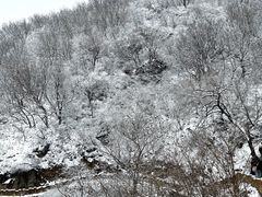 -北京西山国家森林公园