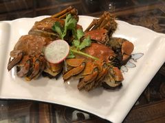 -呼吸森林·生态农庄农家乐私房菜