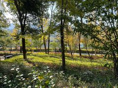 -黄陂区野村谷景区