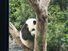 -宁波野生动物园