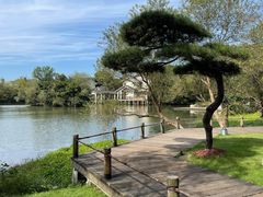 -新荣记(西溪湿地店)