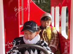 -田园东方蜜桃村的田野营地
