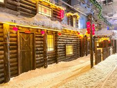 -郑州银基冰雪世界